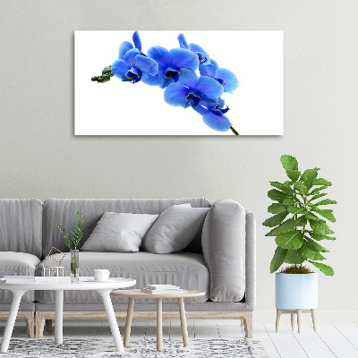 Quadro stampa su tela Orchidea blu