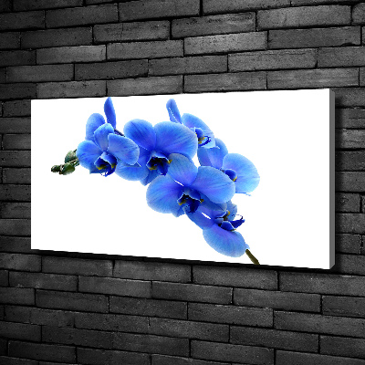 Quadro stampa su tela Orchidea blu