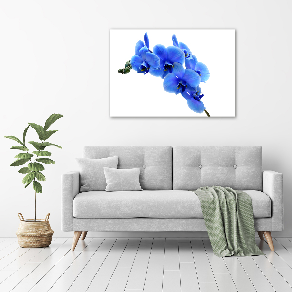 Quadro stampa su tela Orchidea blu