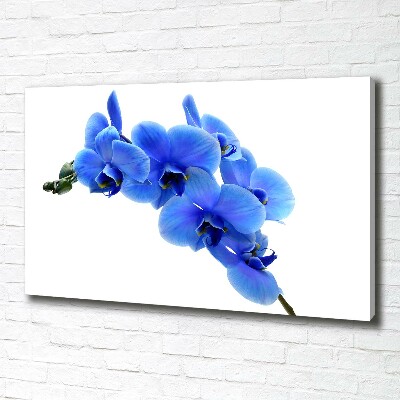 Quadro stampa su tela Orchidea blu