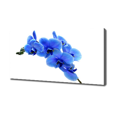 Quadro stampa su tela Orchidea blu