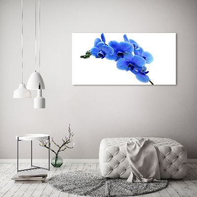 Quadro stampa su tela Orchidea blu