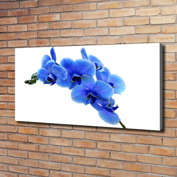 Quadro stampa su tela Orchidea blu