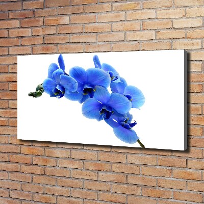 Quadro stampa su tela Orchidea blu