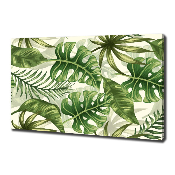 Foto quadro su tela Foglie tropicali