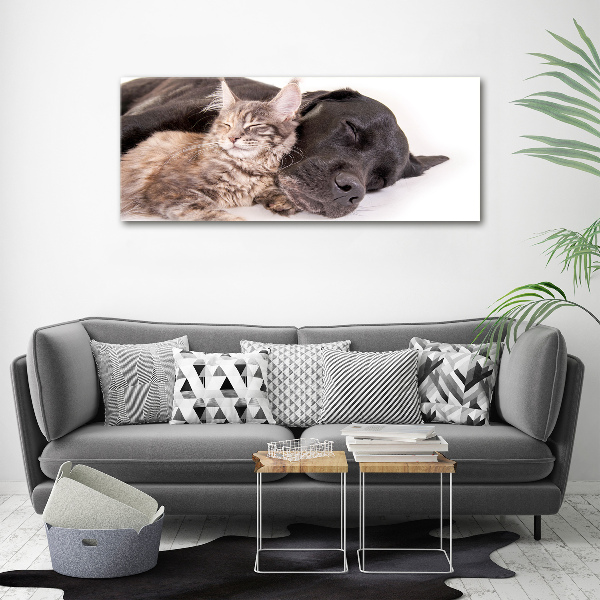 Foto quadro su tela Cane con gatto