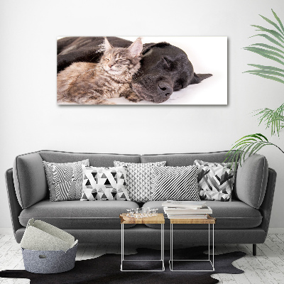 Foto quadro su tela Cane con gatto