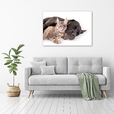 Foto quadro su tela Cane con gatto