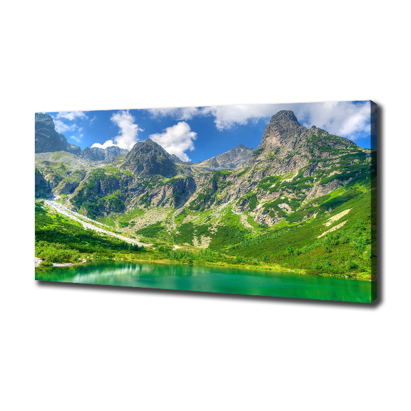 Quadro su tela Lago tra le montagne