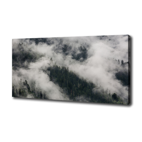 Foto quadro su tela Nebbia sulla foresta