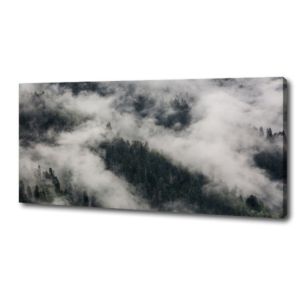 Foto quadro su tela Nebbia sulla foresta