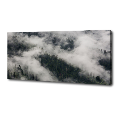 Foto quadro su tela Nebbia sulla foresta
