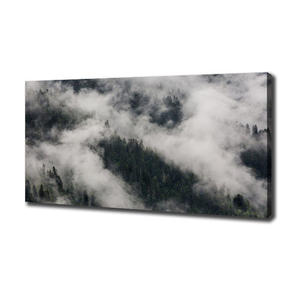 Foto quadro su tela Nebbia sulla foresta