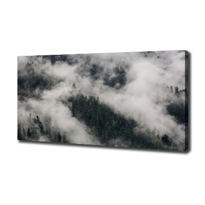 Foto quadro su tela Nebbia sulla foresta