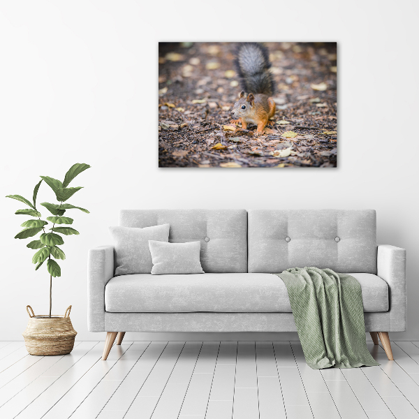 Quadro su tela Scoiattolo