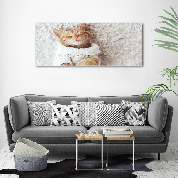 Foto quadro su tela Gattino con il maglione