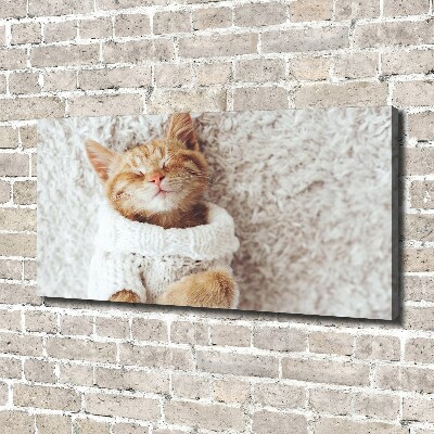 Foto quadro su tela Gattino con il maglione