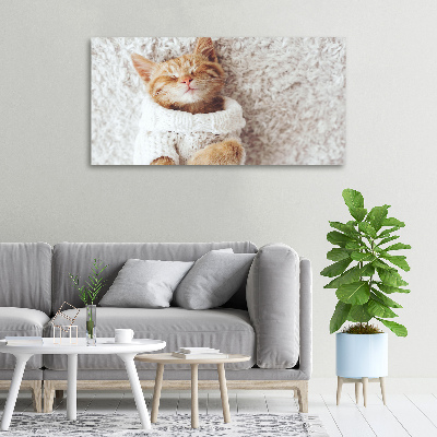 Foto quadro su tela Gattino con il maglione