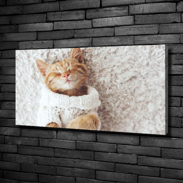 Foto quadro su tela Gattino con il maglione