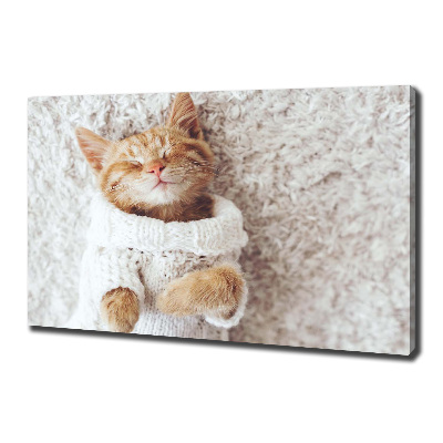 Foto quadro su tela Gattino con il maglione