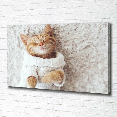 Foto quadro su tela Gattino con il maglione