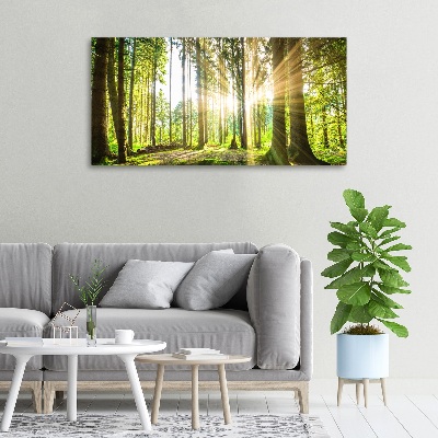 Quadro su tela Foresta al sole