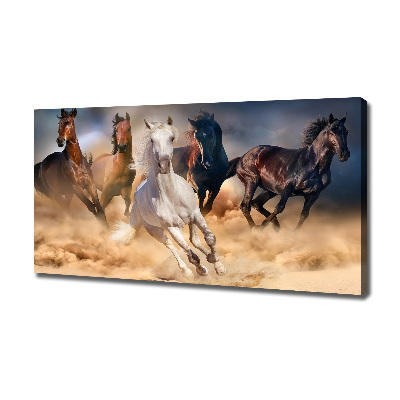 Quadro stampa su tela Cavalli al galoppo