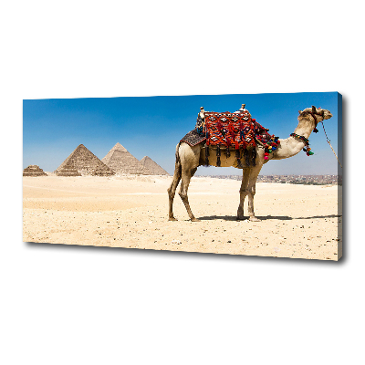 Quadro su tela Cammelli al Cairo