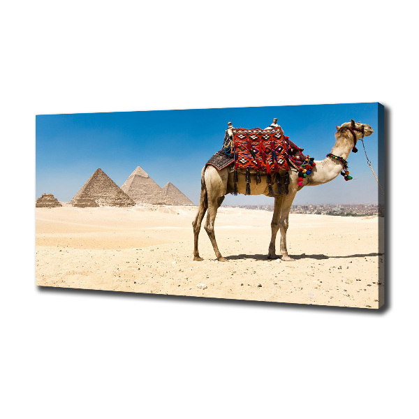 Quadro su tela Cammelli al Cairo