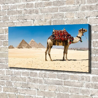 Quadro su tela Cammelli al Cairo