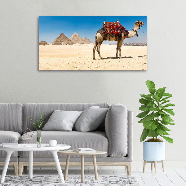 Quadro su tela Cammelli al Cairo
