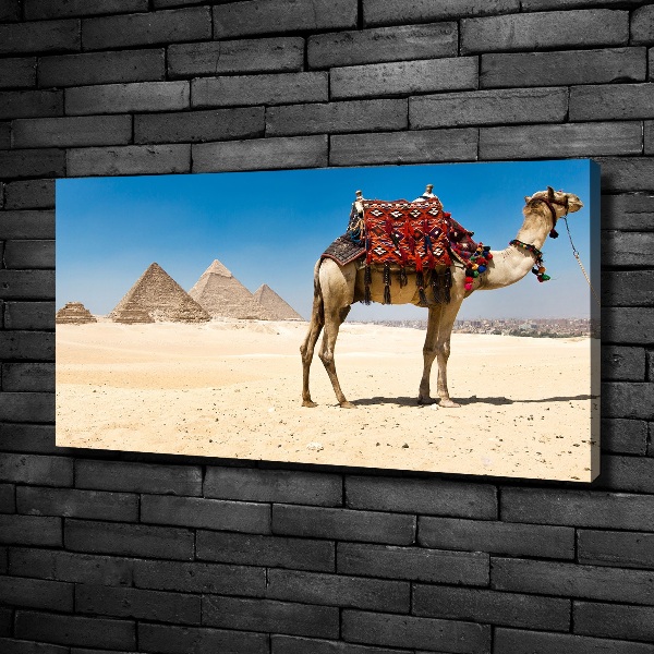 Quadro su tela Cammelli al Cairo