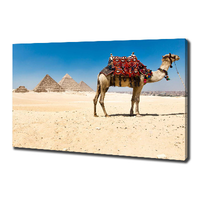 Quadro su tela Cammelli al Cairo