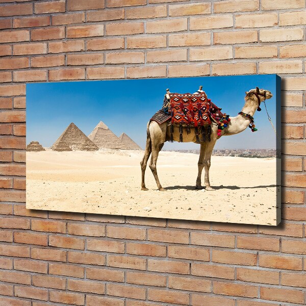 Quadro su tela Cammelli al Cairo