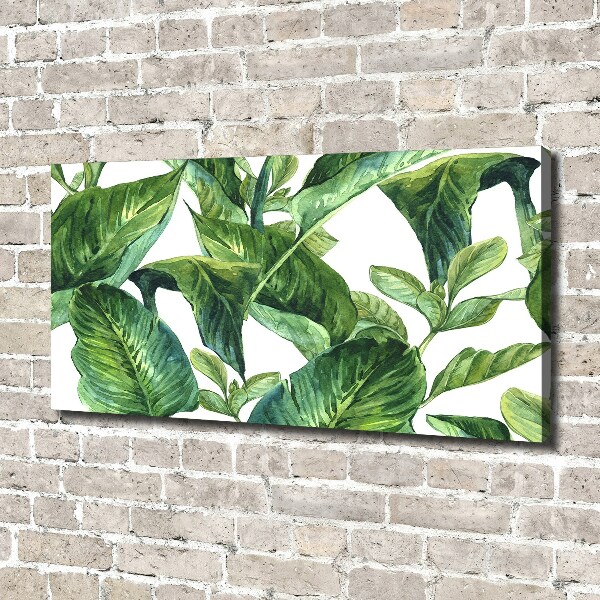 Quadro su tela Foglie