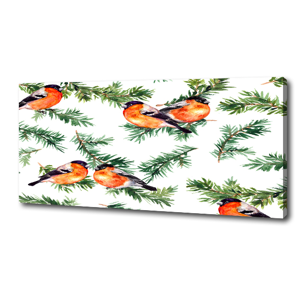 Foto quadro su tela Pettirosso su una conifera