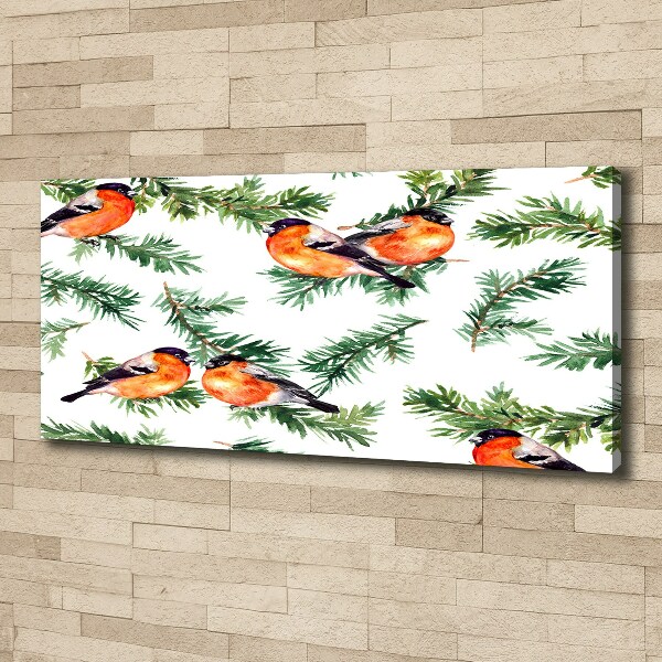 Foto quadro su tela Pettirosso su una conifera
