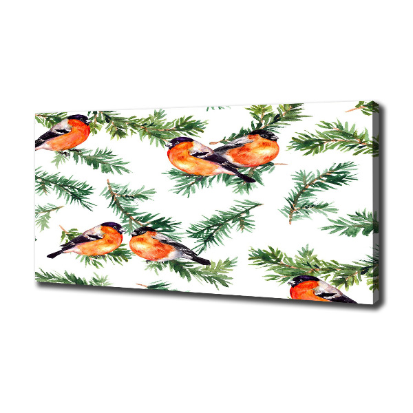 Foto quadro su tela Pettirosso su una conifera