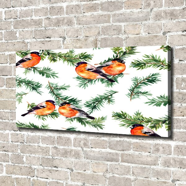 Foto quadro su tela Pettirosso su una conifera