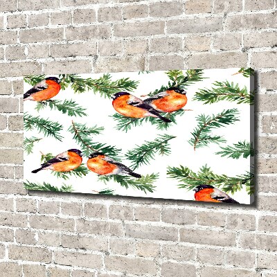 Foto quadro su tela Pettirosso su una conifera
