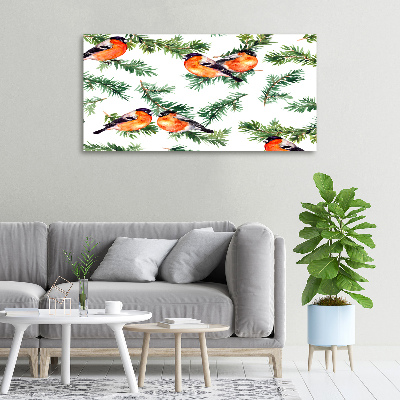 Foto quadro su tela Pettirosso su una conifera