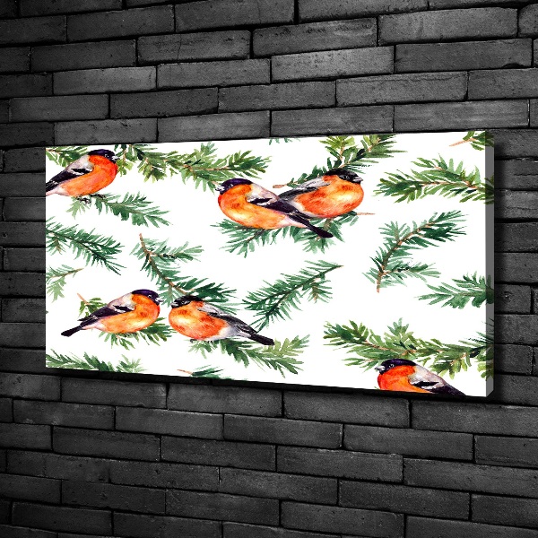 Foto quadro su tela Pettirosso su una conifera