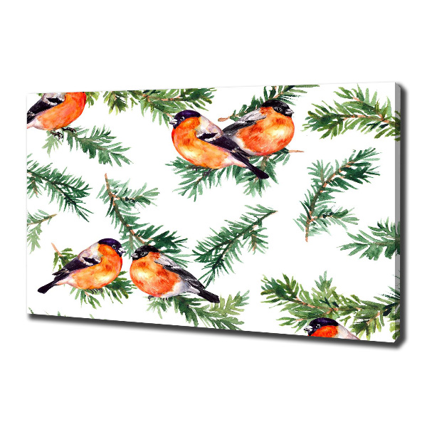 Foto quadro su tela Pettirosso su una conifera