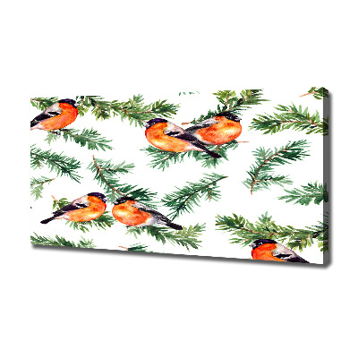 Foto quadro su tela Pettirosso su una conifera