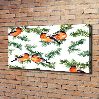 Foto quadro su tela Pettirosso su una conifera