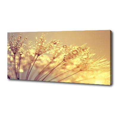 Foto quadro su tela Semi di tarassaco