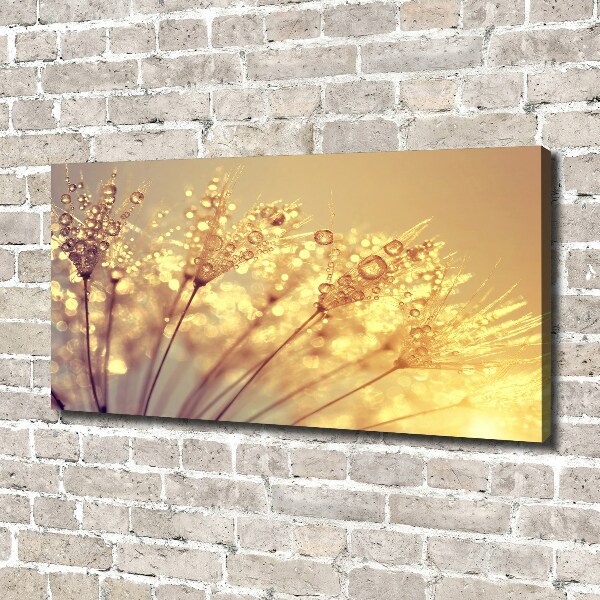 Foto quadro su tela Semi di tarassaco