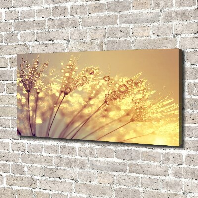 Foto quadro su tela Semi di tarassaco