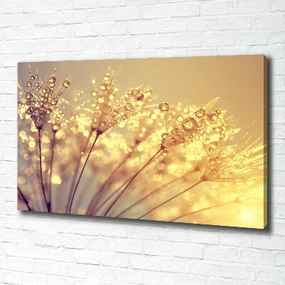 Foto quadro su tela Semi di tarassaco