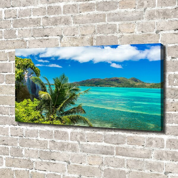 Quadro su tela Costa delle Seychelles